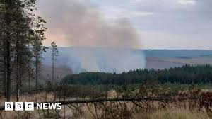 BBC - News update