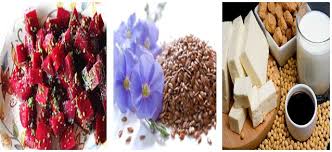 Image result for ‫پروژسترون در کدام مواد غذایی زیاد وجود دارد؟‬‎