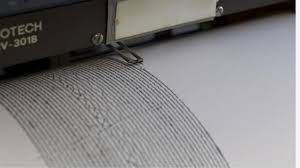 Trend Google: terremoto