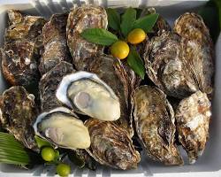 広島産牡蠣の画像