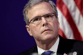 Image result for jeb bush