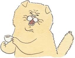 images?q=tbn:ANd9GcSdtJIL9cgcIcbe1Vto9Rh