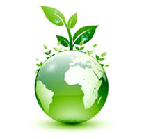 Image result for Tree plantation