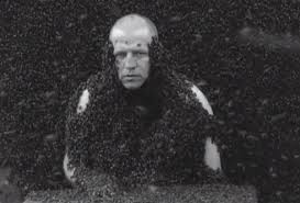 Résultat de recherche d'images pour "covered in bees"