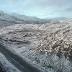 First snow of the season falls in Southeast and Southcentral Alaska
