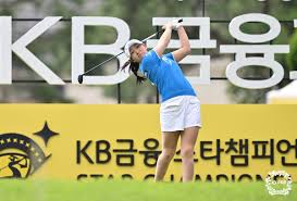 연합뉴스 - News update
