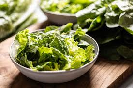Michigan Cyclosporiasis Outbreak Zeroes In on Lettuce and Salad Greens