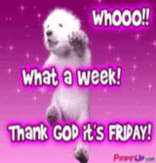 Image result for tgif gif