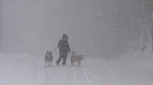 At least 34 dead as winter storm brings ice, snow, extreme cold