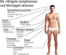 Hva er multippel sklerose