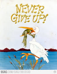 Never Give Up - Ha! This is the first time I&#39;ve seen this in ... via Relatably.com