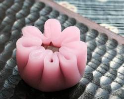 Image of Namagashi wagashi