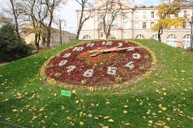 Картинки по запросу годинник старі напольні