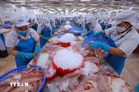 Vietnamese enterprises showcase agricultural products at Food Africa 2025 in Cairo