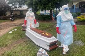 Enfermedad Por El Virus Del ébola