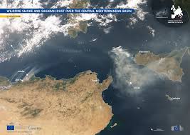 Wildfire smoke and Saharan dust over the central Mediterranean basin