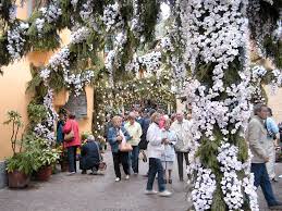 Giornale di Brescia - News update