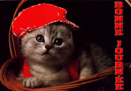 Résultat de recherche d'images pour "image gif animée bonne journée"