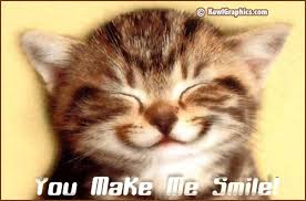 Image result for cute kitten quotes