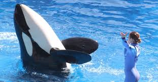 Lộ diện thủy cung độc đáo nhất Hàn Quốc Hanwha Aqua Planet 63 - We Go Travel