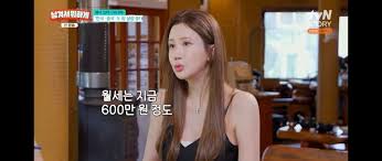 뉴시스