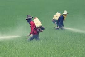Over 400M Acute Pesticide Poisonings Occur Worldwide Each Year: Study
