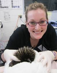 Wildlife Veterinary Externship in Australia: Taronga Zoo - Elliott Garber - Briana-Hallman-echidna-Australia