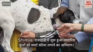 Amar Ujala - News update
