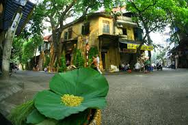 Kết quả hình ảnh cho thu hà nội