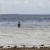t. Petersburg City Council will explore ways to get private ...