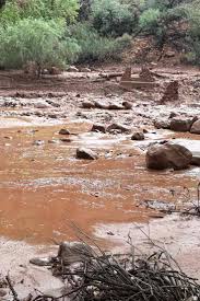 One Dead and 15 May Be Missing at the Grand Canyon After Flash Flood