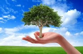 Αποτέλεσμα εικόνας για ΕΞΟΙΚΟΝΟΜΗΣΗ ΕΝΕΡΓΕΙΑΣ