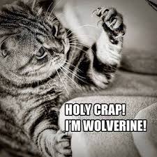 I&#39;m Wolverine | Funny Pictures, Quotes, Memes, Funny Images, Funny ... via Relatably.com