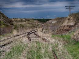 Image result for wayne alberta