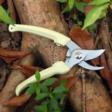 Kraft Seeds / Smart Lock Pruner (hand pruning cutter)