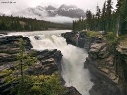 Image result for Jasper National Park – Alberta, Canada