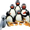 Bilderesultat for Pingu Official YouTube Channel