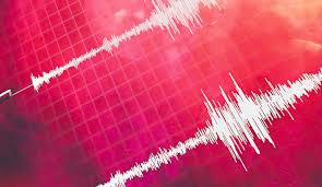 Fuerte temblor frente a la costa de Valdivia se registr&oacute; durante la madrugada de este martes