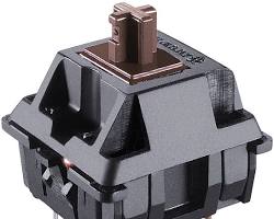 Brown Switch