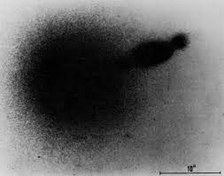 Image result for galaxy M87