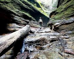 Image of Turkey Run State Park