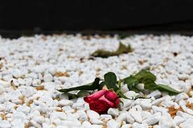 Bildergebnis für bilder trauer