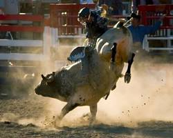 Image of Chenango County Fair Rodeo