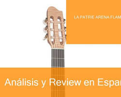 Imagen de Guitarra flamenca La Patrie