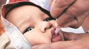 polio માટે છબી પરિણામ