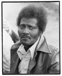 Albert Collins - 5DM5