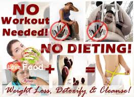 Image result for optrimax plum