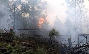 Resultado de imagen para fotos de incendios en santiago rodriguez en la cordillera central