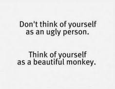 Monkey Love &lt;3 on Pinterest | Funny Monkey Pictures, Monkey and ... via Relatably.com