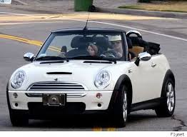 images?q=tbn:ANd9GcSfjwLM1AsiY45-J6sP6fx